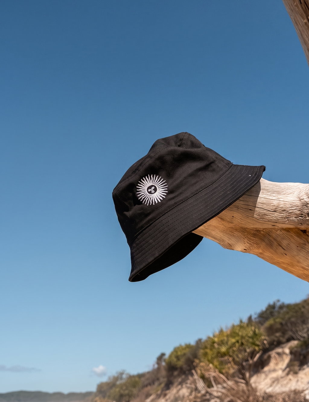 The black piluso on driftwood at the beach.