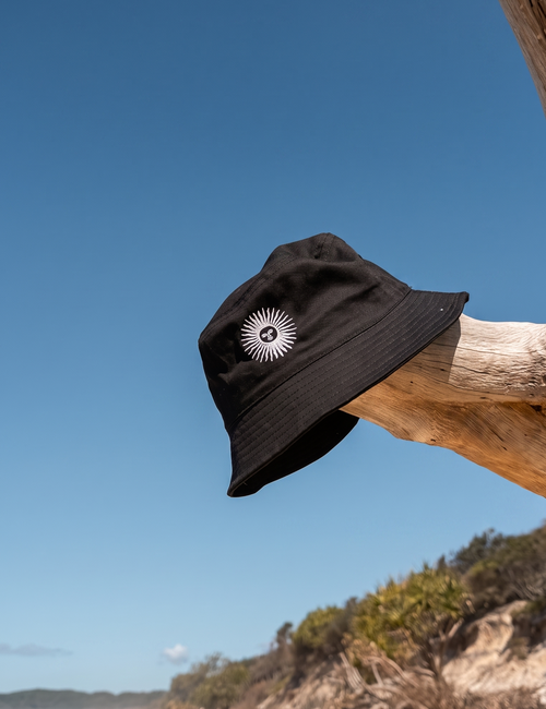 The black piluso on driftwood at the beach.