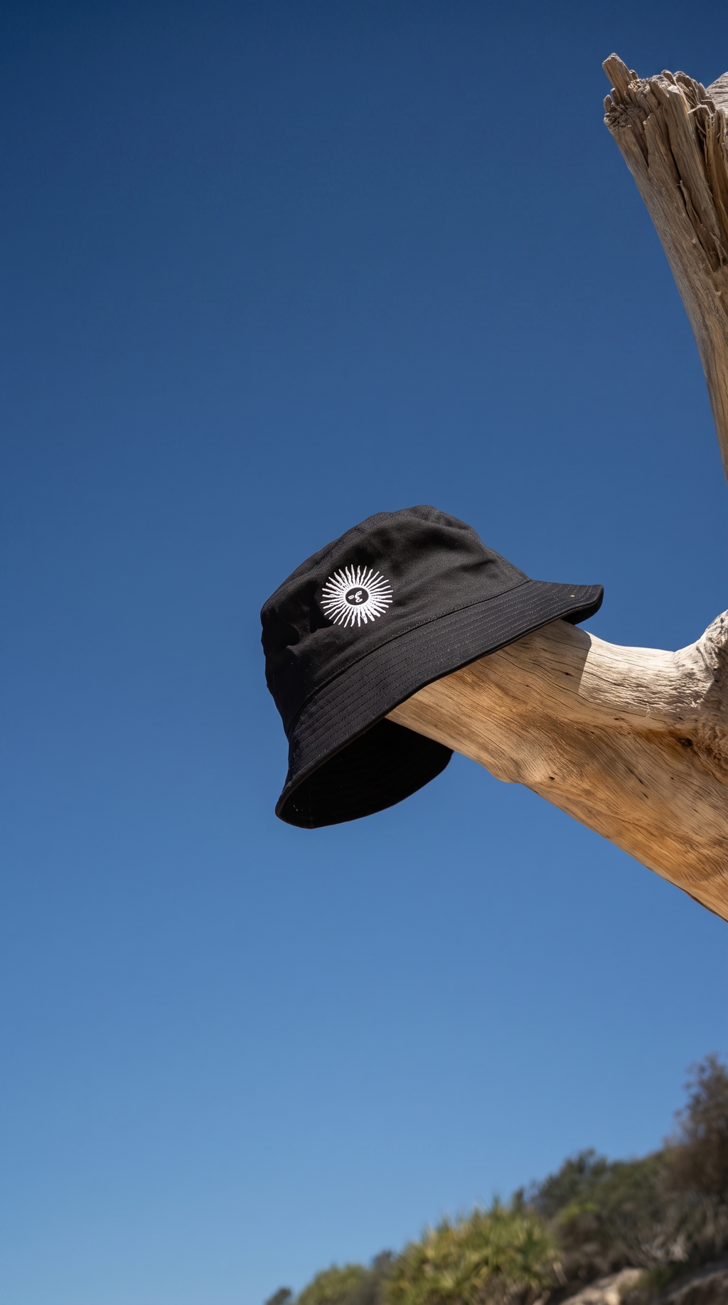 The black piluso balanced on driftwood against blue sky.